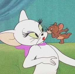 猫和老鼠套图头像壁纸表情包背景图