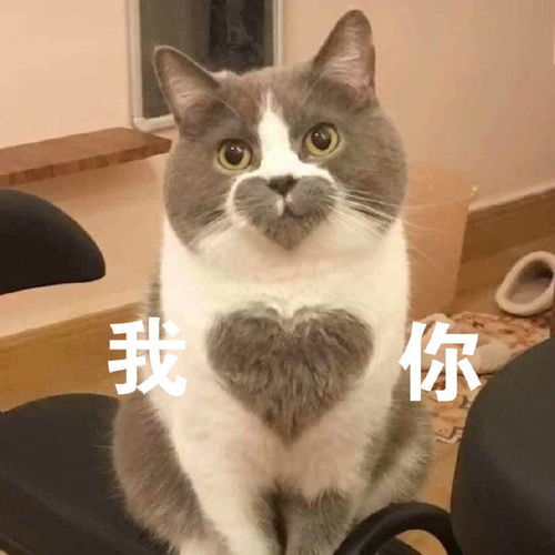 搞笑表情包第三百七十一期