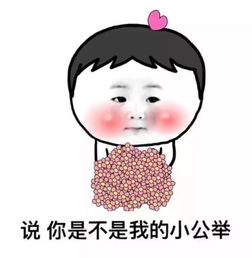 表情包聊天表情包微信表情包qq表情包魔堆糖,美好生活研究所