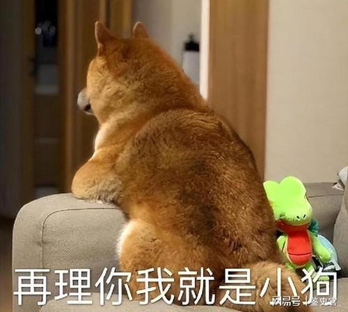 当一只狗讨厌你的时候,会有6个明显表现,藏不住