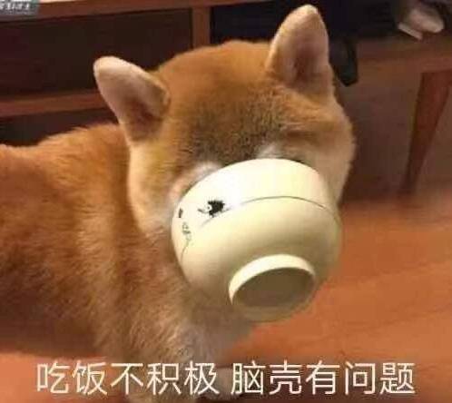 等会狗管理员出来了微信恶搞蘑菇头表情包