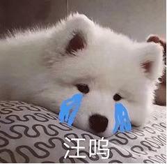 沙雕可爱表情包你继续说,反正我不听