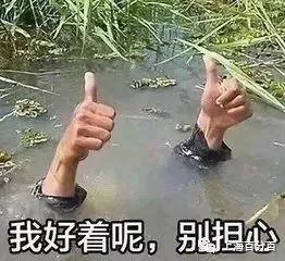 一股超厉害的冷空气来了断崖式降温雨雨雨接下来上海的天气扎心了