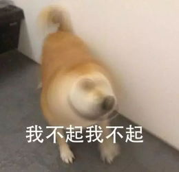 你的寒假怎么过