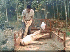 开心一刻那一腋