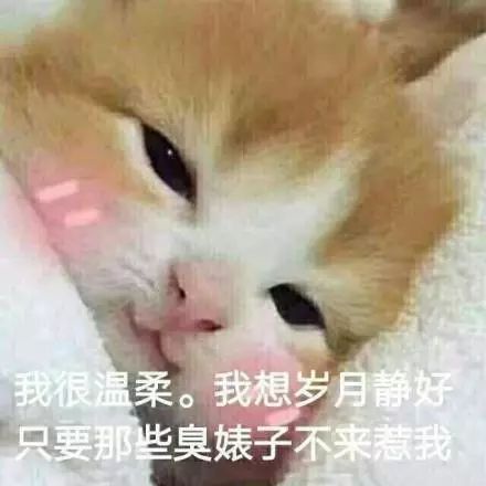 一组仙女专用的萌萌哒表情包,你值得拥有
