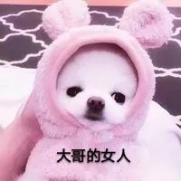 萌宠表情包
