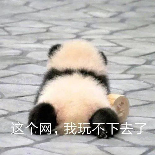 史上最全倒霉蛋动图集合,哈哈哈哈哈哈我笑不活了