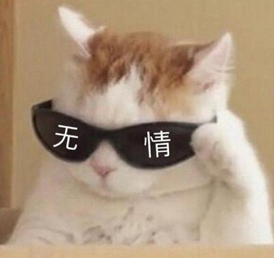 轻笑幽默狗不嫌家穷,儿不嫌母丑