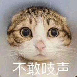 圆圆胖胖的女生,怎么打扮才能越变越美