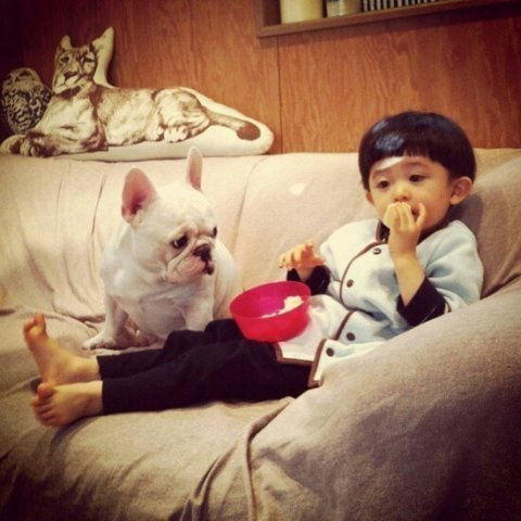 一位妈妈为宝宝和狗狗拍摄的温暖写真