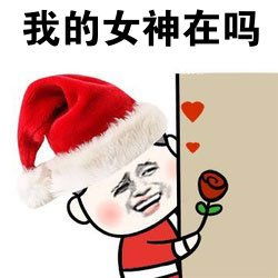 圣诞帽表情图片承接带圣诞帽表情包