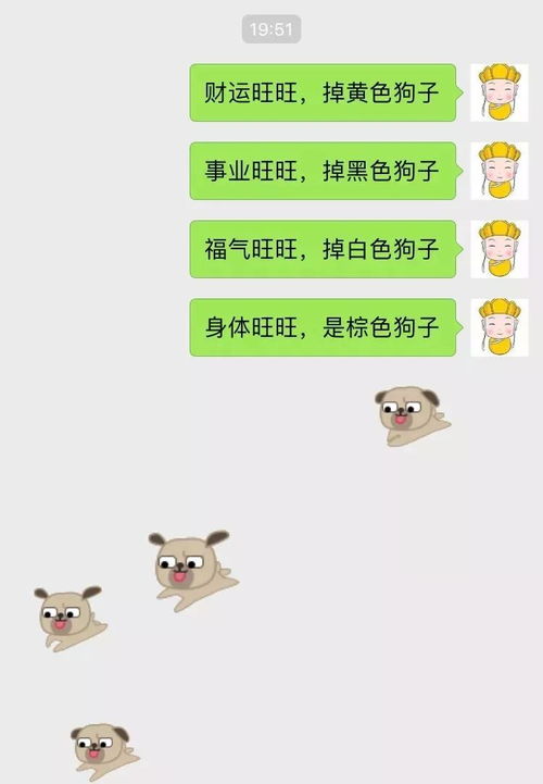 春节微信发祝福,这6种掉狗子表情雨你会用到