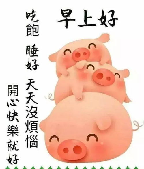 早上好搞笑表情包祝福语