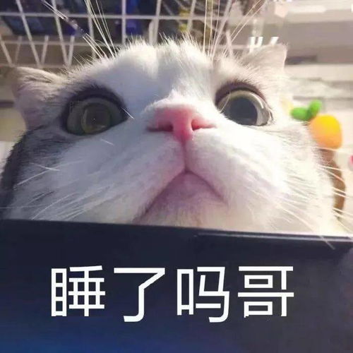 抖音最火热门表情包