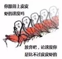 皮皮虾用天飞表情包下载乐游网游戏下载