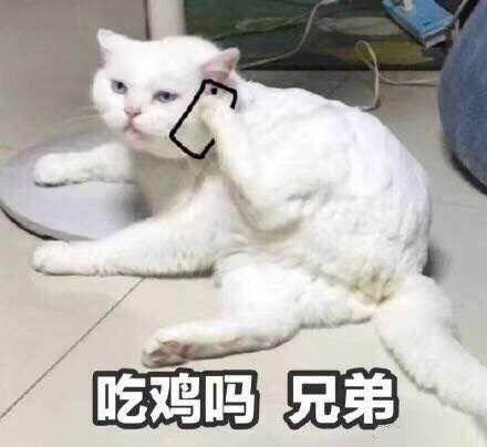 搞笑斗图表情包39张请问,我可以成为你的网上邻居吗