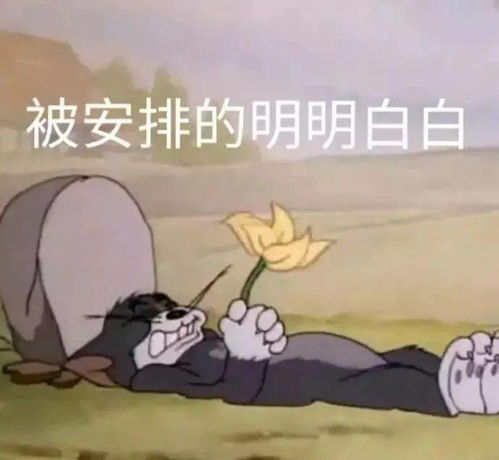 看90后老师上课,承包了我一年的笑点00后学生这届班主任真的太难带了