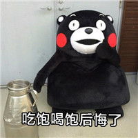 熊本熊搞怪带文字的表情包你为什么会成为胖纸