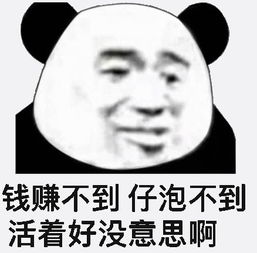 熊猫头怼人专用表情我不知道,知道我也不告诉你