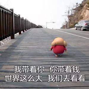 你们知道吗猪也是有烦恼的......