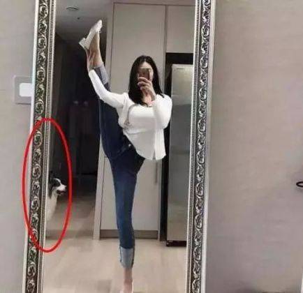 搞笑gif不管什么事都得从小抓起你说是不是呢