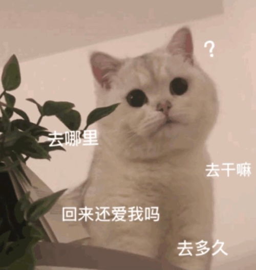 整理了一些日常文案