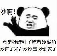 热门爆笑表情包