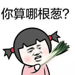 人上人系列广东高校鄙视链曝光