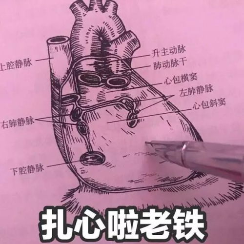 选择你,我义无反顾