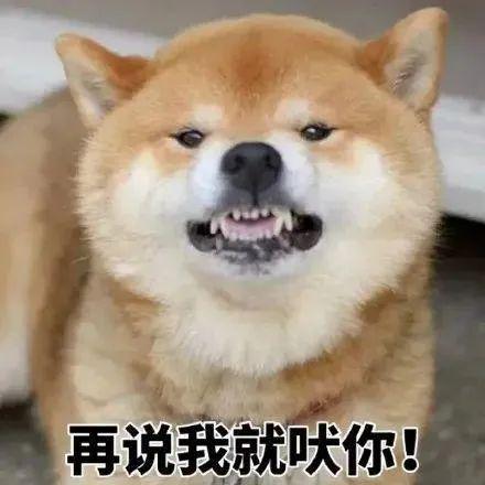 宁愿得罪人也不说违心话,真实到爆的星座