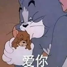 表情包猫和老鼠表情包头像合集搞笑表情