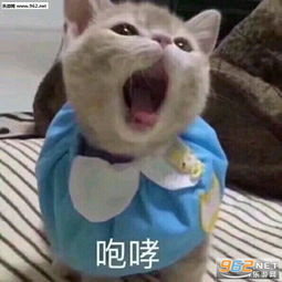 是我不配打扰了表情包咆哮表情包图片下载乐游网游戏下载