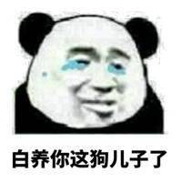 熊猫头表情包i天冷能去你怀里暖暖吗