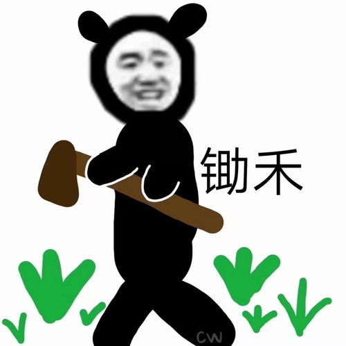 幽默表情包祝贺自己即将秃头