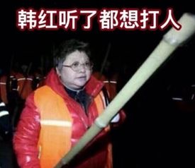 搞笑人脸表情包韩红