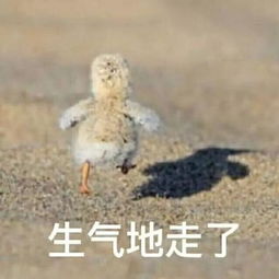 生气表情包搞笑带字版合集我生气了,马上安慰我