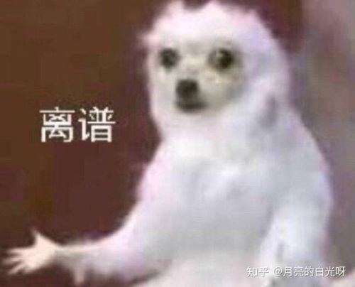 搞笑图片沙雕图片表情包朋友圈