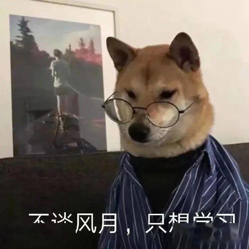 秋天,狗子咳嗽喷嚏打个不停,这是