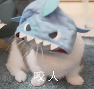做过网配糊比策划的感想就是,男卡司全tm傻逼
