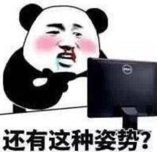 搞笑表情包沙雕脑机接口
