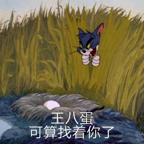 可爱沙雕表情包打死你这个龟孙