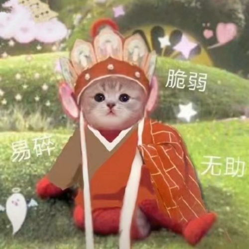 表情包我果然是甜妹