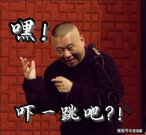 表情包系列第八期30张德云社搞笑图片