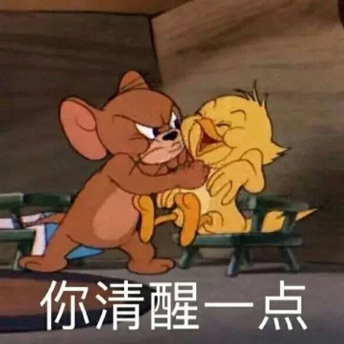 可爱搞笑表情包图片偷听大佬聊天,你管我几点睡