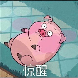 猪猪的凝视摇摇猪表情包
