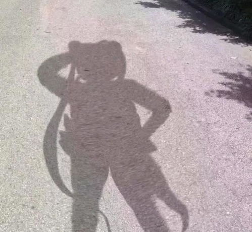 杀死一个胖女孩