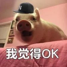 搞笑表情包下载禁玩