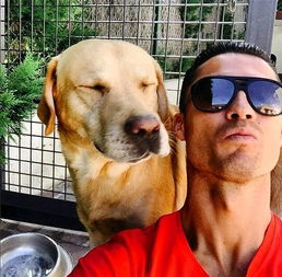 逗妹吐槽梅西c罗爱犬大比拼许家印欲全华班夺冠