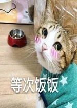 我说自己菜大佬说自己菜表情图片我和大佬的区别表情包下载乐游网游戏下载